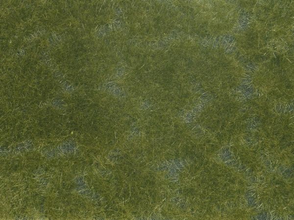 NOC07252 - Fogliame vegetale; verde scuro 12x18 cm - 1