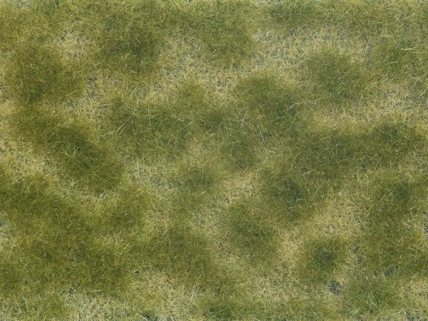 NOC07253 - Fogliame verde/beige 12x18 cm - 1