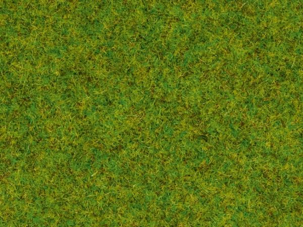 NOC08200 - Erbe dei prati primaverili - 1;5 mm - 20 g - 1