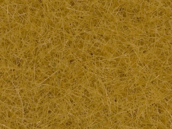 NOC08362 - Erbe beige - 4 mm - 20 g - 1
