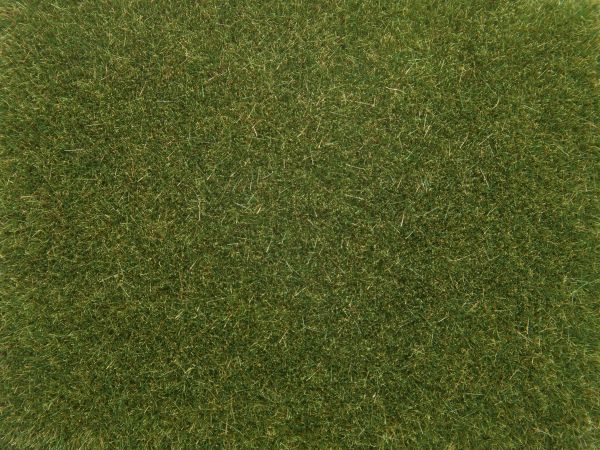 NOC08364 - Erbe verde medio 4mm 20g - 1