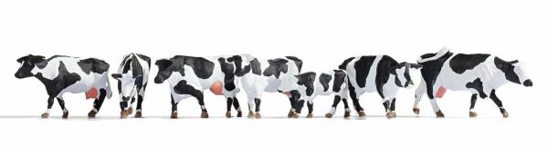 NOC12851 - Mucche al pascolo con effetti sonori - 1