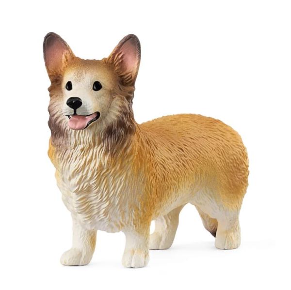 SHL13999 - Cane Welsh Corgi - 1
