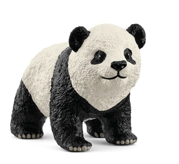SHL14886 - Giovane Panda Gigante - 1