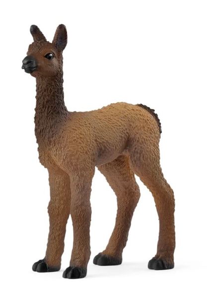 SHL14890 - Cucciolo di Lama - 1