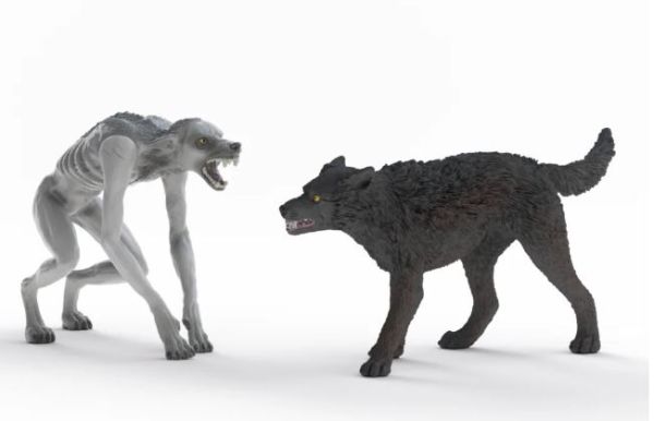 SHL14906 - Lupo Mannaro contro Animagus - 1