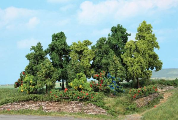 HEK1996 - 18 Alberi della foresta 1-11 cm - 1