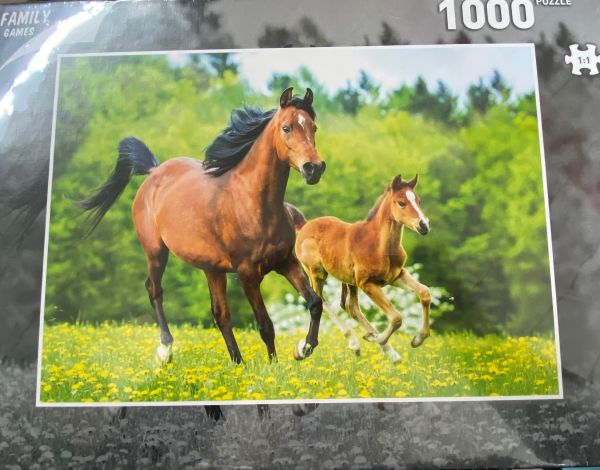 GLOT107-3 - Puzzle di 1000 pezzi I cavalli - 1
