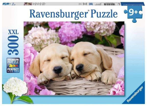 RAV132355 - Puzzle da 300 pezzi Cani carini in un cestino - 1