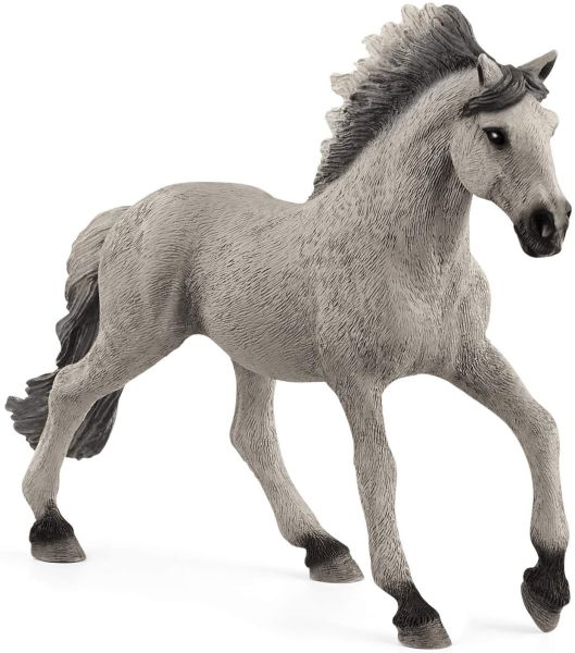 SHL13915 - Stallone Mustang Sorraia - 1