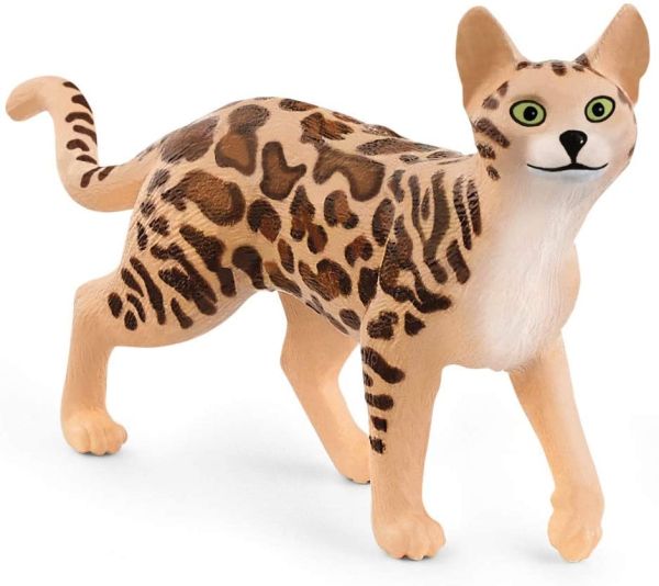 SHL13918 - gatto bengala - 1