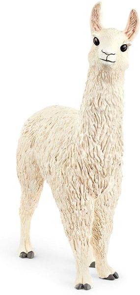 SHL13920 - lama - 1