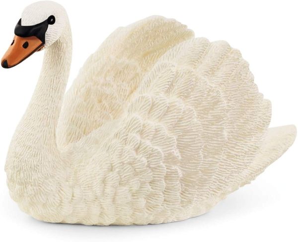 SHL13921 - cigno - 1