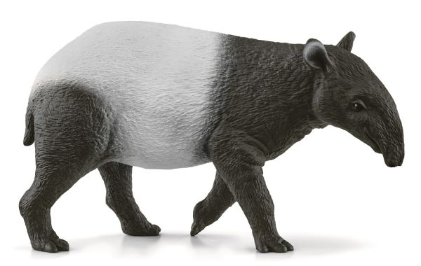 SHL14850 - Tapiro - 1