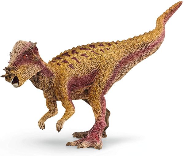SHL15024 - Pachicefalosauro - 1