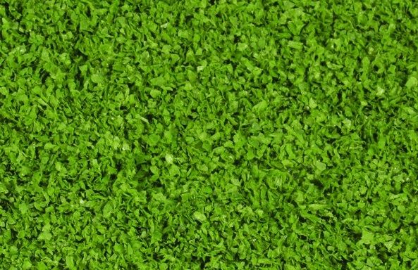 HEK15151 - Fogliame verde medio 200 ml - 1
