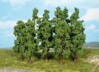HEK1732 - 5 alberi da frutto 5-9 cm - 1