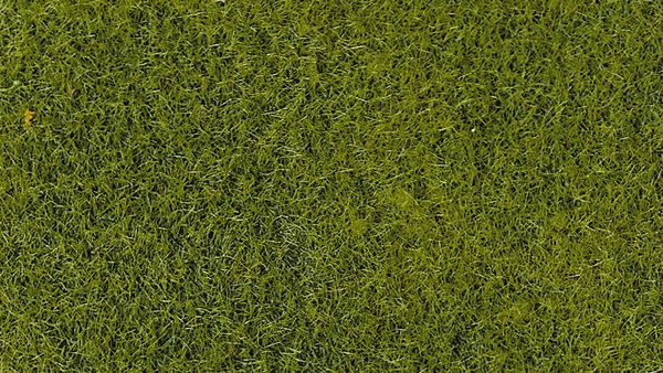 HEK3364 - Busta da 50 g di floccaggio verde chiaro da 2-3 mm - 1