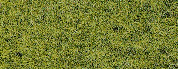 HEK3376 - Materiale floccato XL 10 mm primavera - 50 g - 1