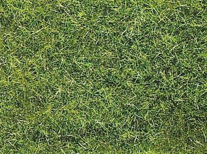 HEK3377 - Sacco 50 g di erba estiva XL 10 mm - 1