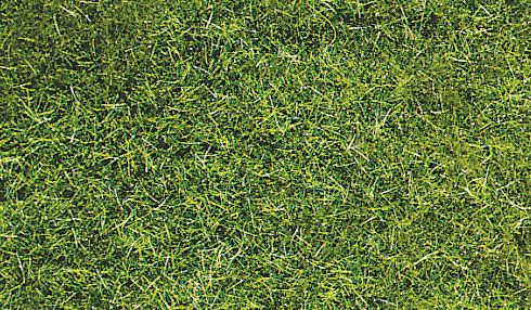 HEK3369 - Sacchetto 75 g di erba selvatica verde scuro 5-6 mm - 1