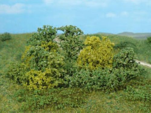 HEK1646 - 20 cespugli naturali - 1