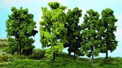 HEK1990 - 5 Alberi a foglie caduche 18 cm - 1