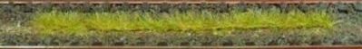 HEK1812 - Confezione da 10 strisce di erba autunnale 10 cm - 1