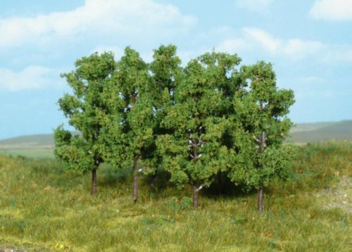 HEK1999 - 6 Ontani 8 cm - 1