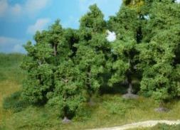 HEK1950 - Lotto di 10 alberi da frutto 8-12 cm - 1