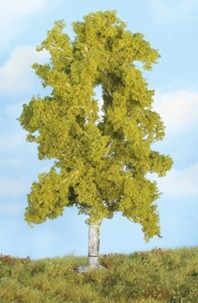HEK19105 - Betulla 18 cm - 1