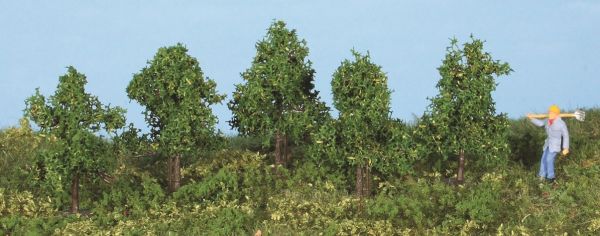 HEK19130 - 5 Alberi decidui 4 cm - 1
