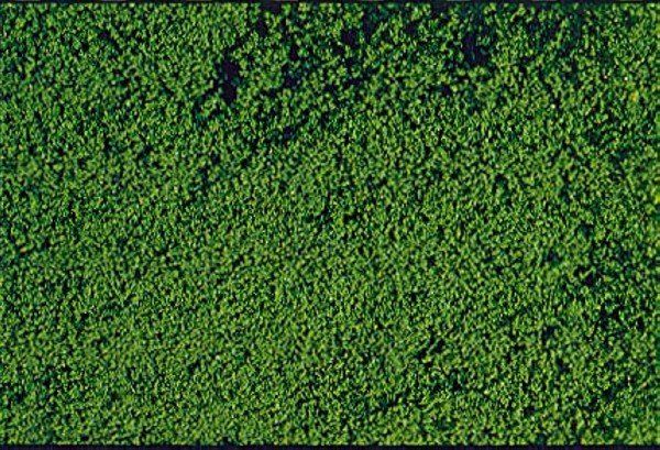 HEK1602 - Schiuma floccata verde scuro 14x28 cm - 1