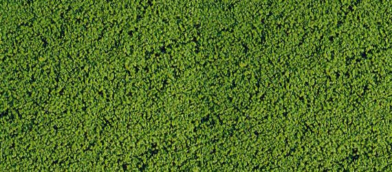 HEK1601 - Schiuma floccata verde medio 14x28 cm - 1