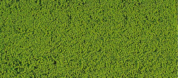 HEK1600 - Schiuma floccata verde chiaro 14x28 cm - 1