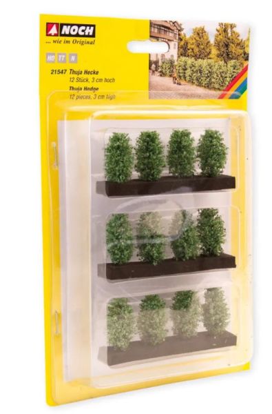 NOC21547 - siepe di tuia da 3 cm - 1