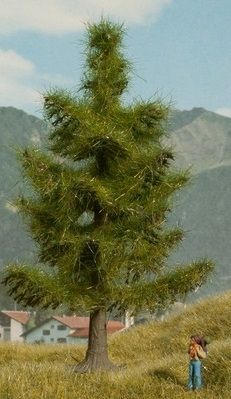 NOC21815 - Abete 12 cm - 1