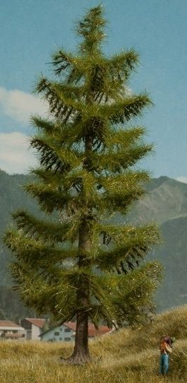NOC21817 - Abete 18;5 cm - 1