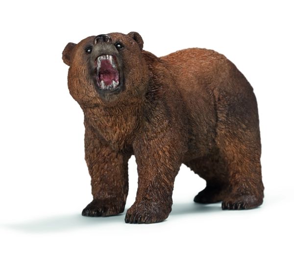 SHL14685 - Orso grizzly - 1