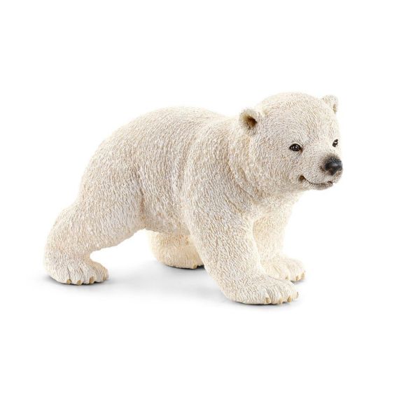 SHL14708 - Cucciolo di orso polare che cammina - 1