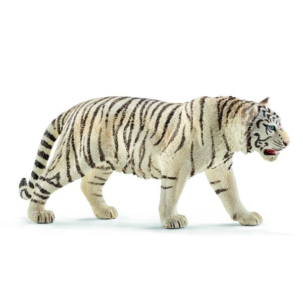 SHL14731 - tigre bianca maschio - 1