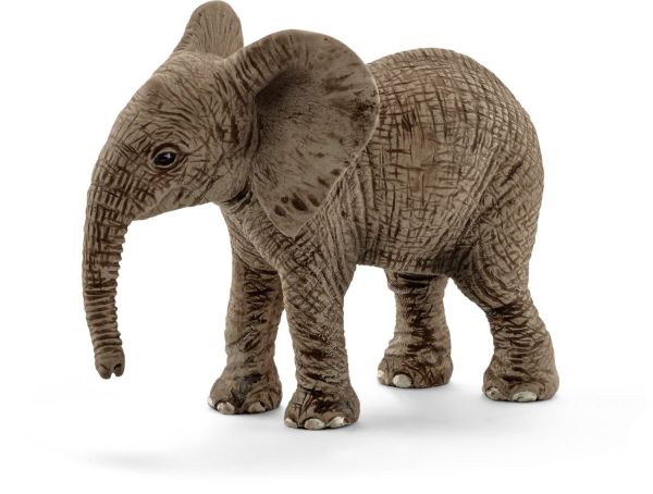 SHL14763 - Elefantino africano - 1
