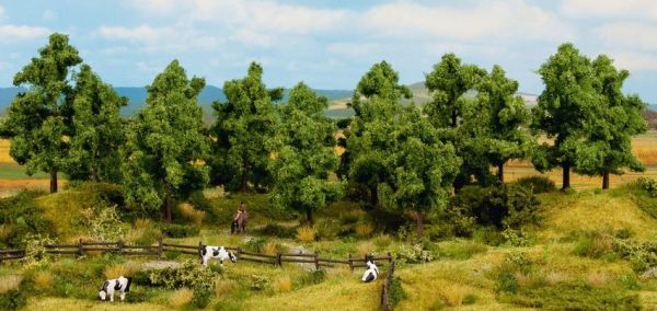 NOC24600 - 8 Alberi frondosi da 10 a 14 cm - 1