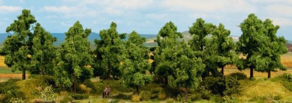 NOC24602 - 6 alberi frondosi da 14 a 18 cm - 1