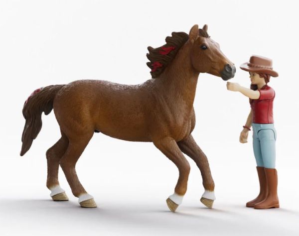 SHL42711 - Cavaliere Hannah e Cayenne - 1