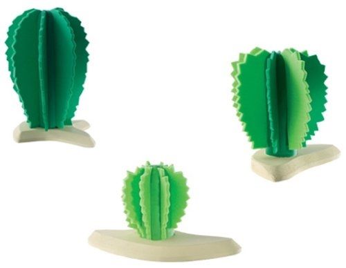BUL81087 - Gruppo di cactus - 1