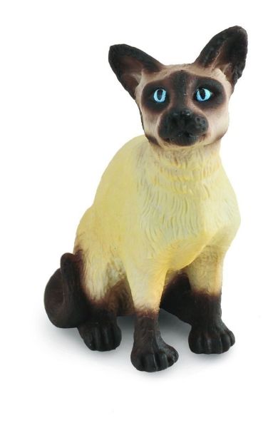 COLL88331 - Gatto siamese seduto - 1