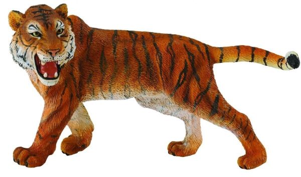 COLL88410 - La tigre - 1
