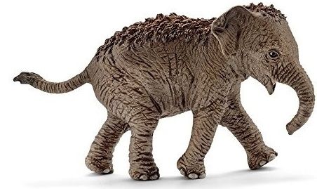 SHL14755 - Elefante asiatico - 1