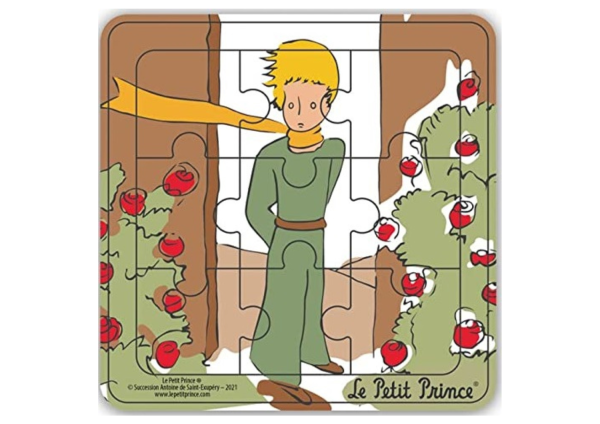 MGM865007-D - Puzzle con cornice in legno 9 pezzi IL PRINCIPESSINO dal davanti - 1